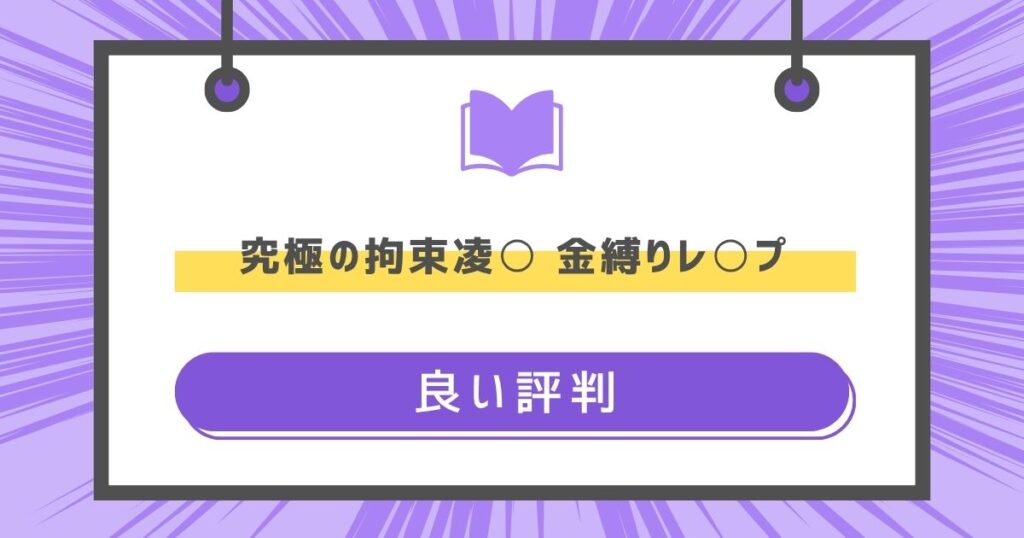 究極の拘束凌○ 金縛りレ○プの良い評判や感想の画像