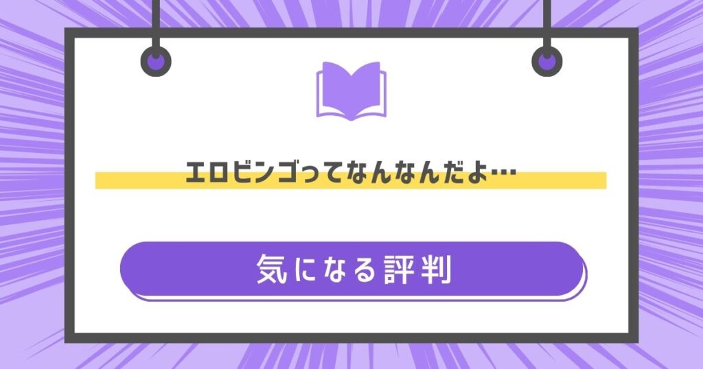 エロビンゴってなんなんだよ…の気になる評判や感想の画像