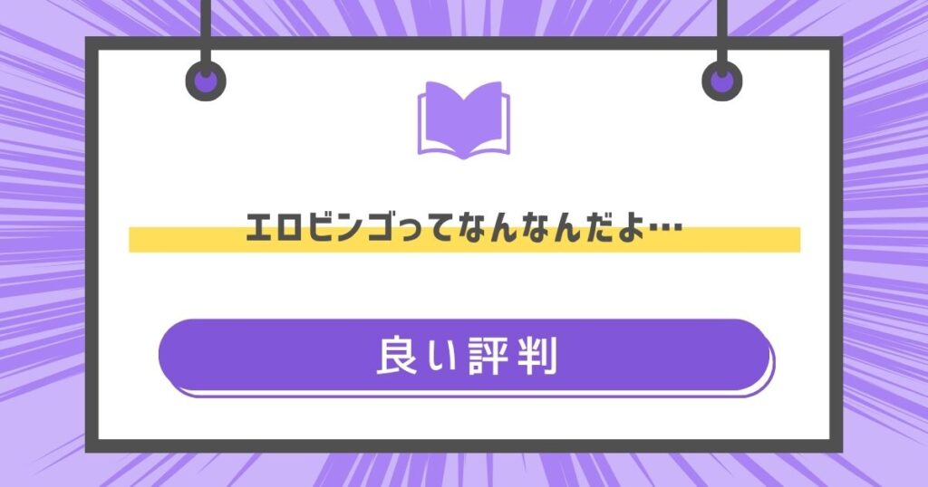 エロビンゴってなんなんだよ…の良い評判や感想の画像