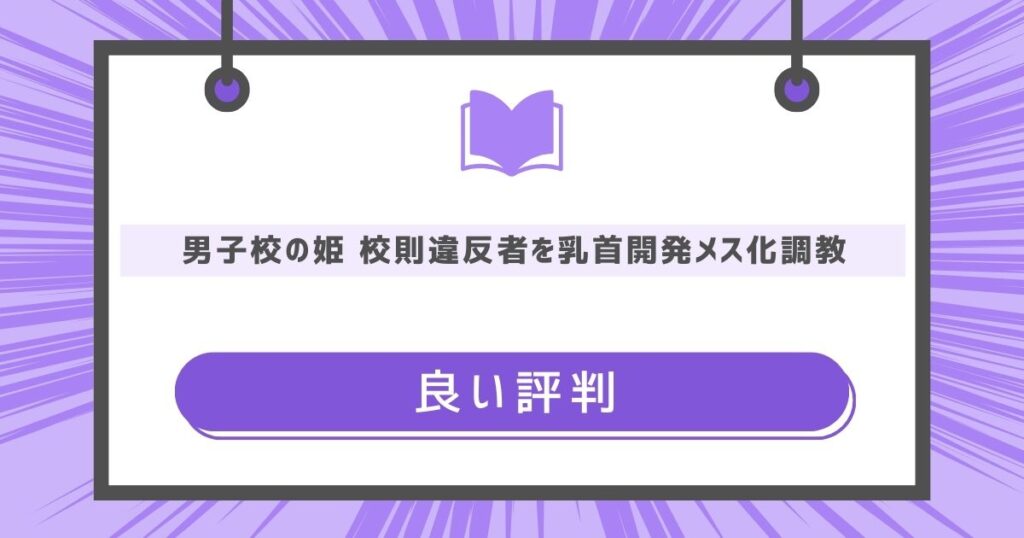 男子校の姫 校則違反者を乳首開発メス化調教の良い評判や感想の画像